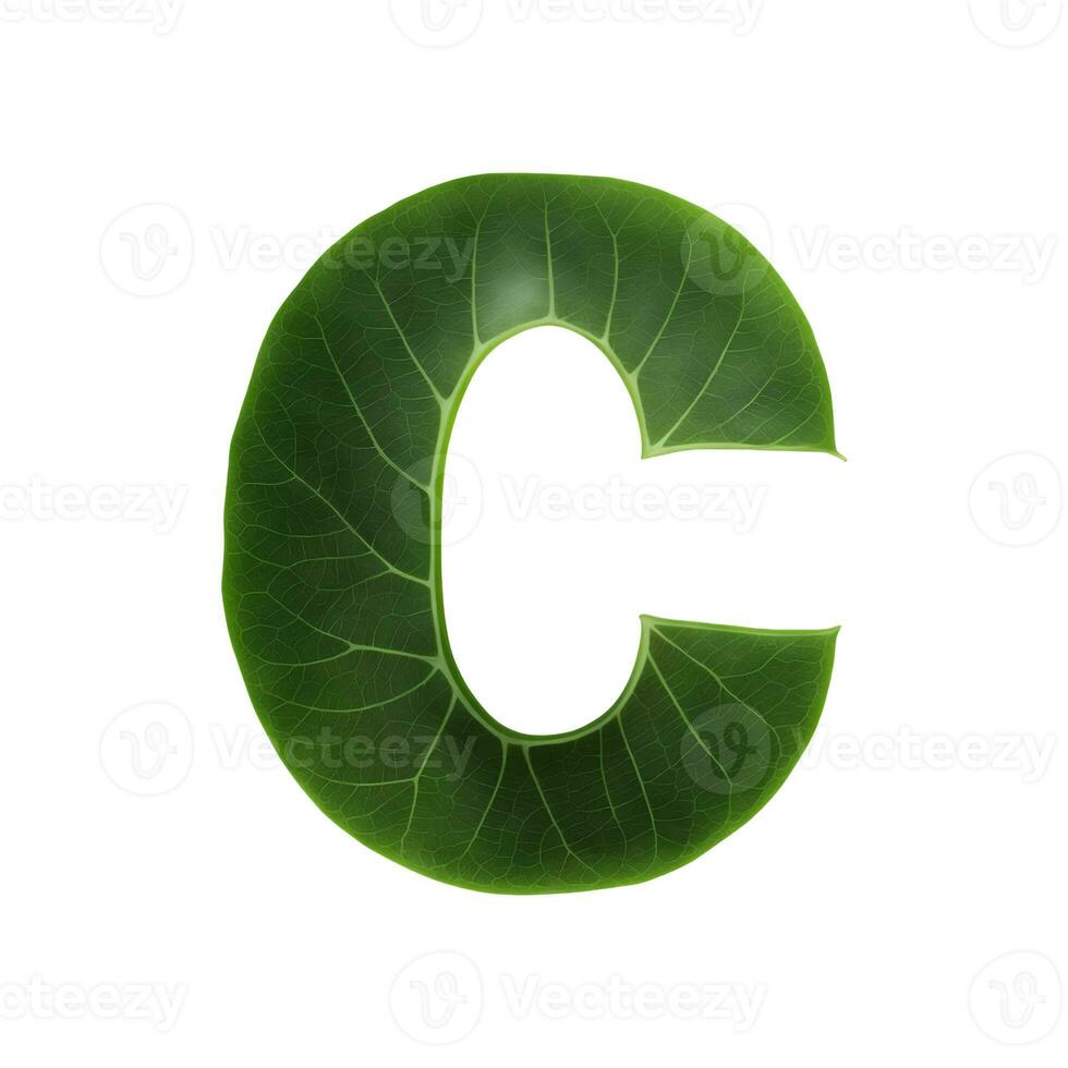 Green leaf typography text design uppercase alphabet C, AI Generative photo
