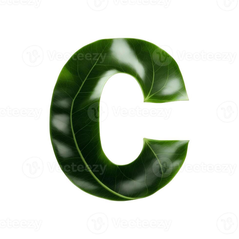 Green leaf typography text design uppercase alphabet C, photo