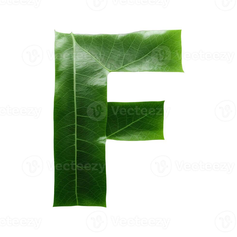 Green leaf typography text design uppercase alphabet F, AI Generative photo