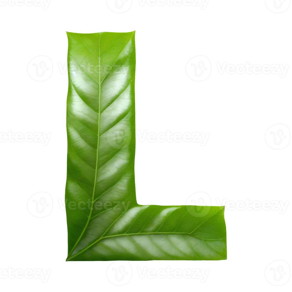 Green leaf typography text design uppercase alphabet L, photo
