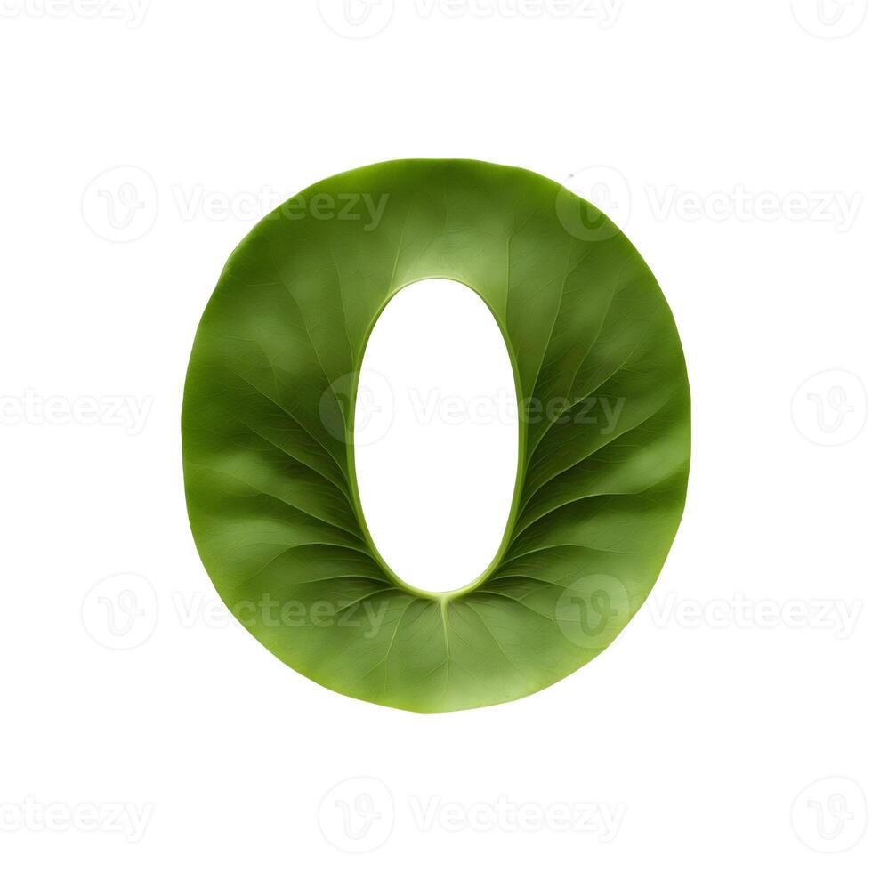 Green leaf typography text design uppercase alphabet O, photo