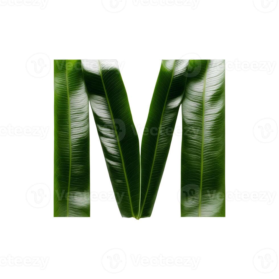 Green leaf typography text design uppercase alphabet M, photo
