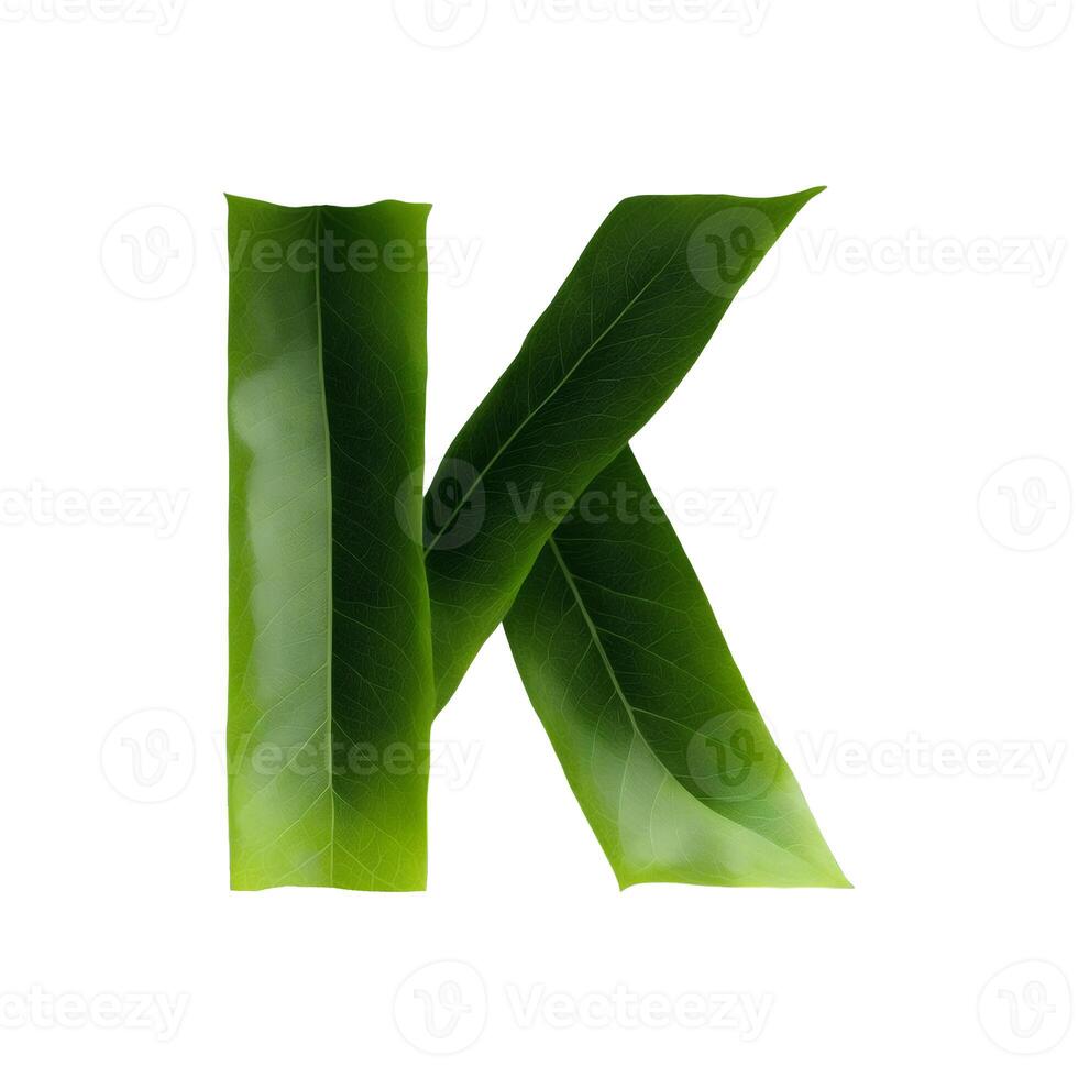 Green leaf typography text design uppercase alphabet K, photo