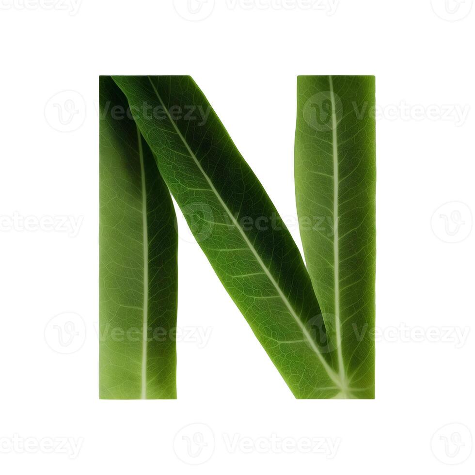 Green leaf typography text design uppercase alphabet N, photo