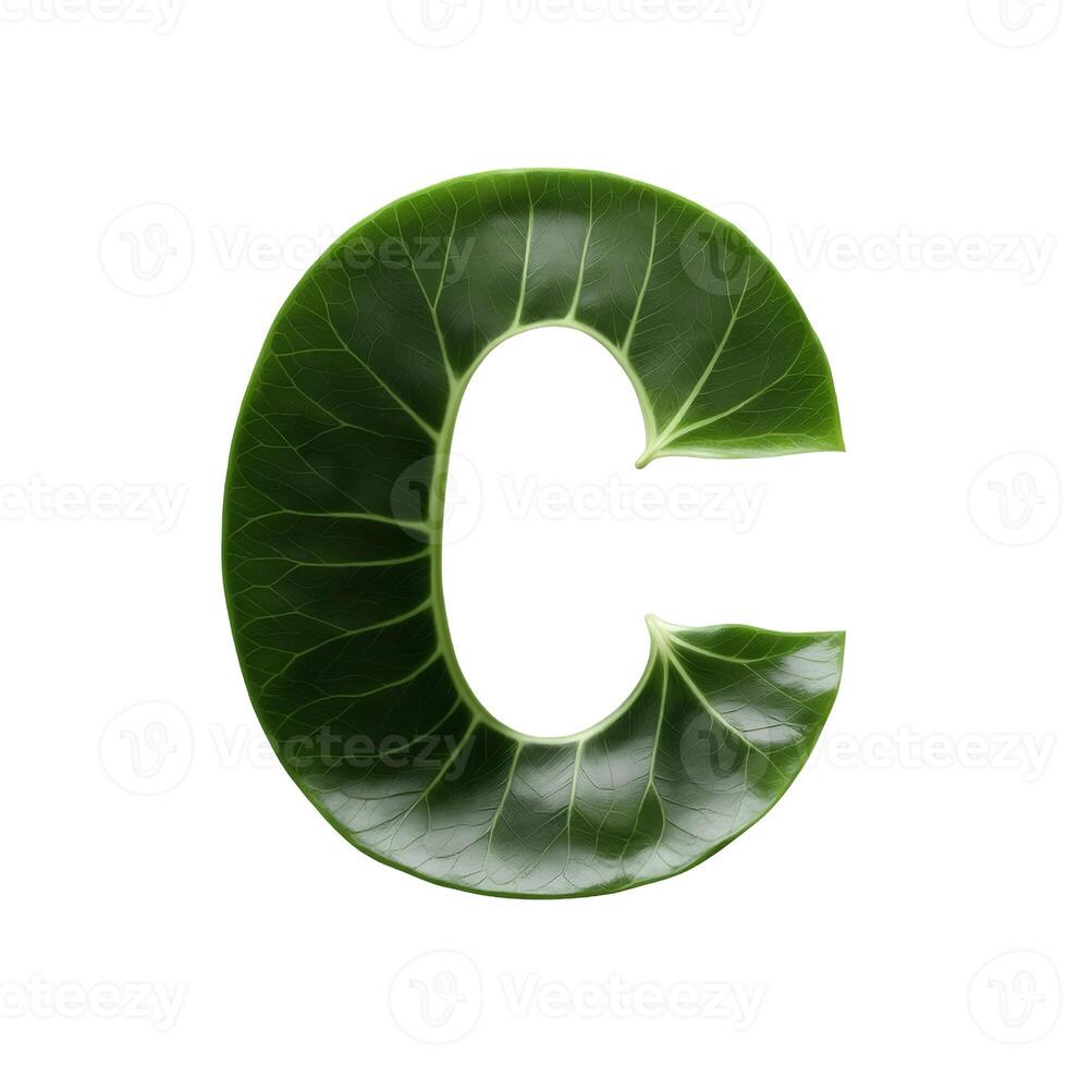 Green leaf typography text design uppercase alphabet C, photo