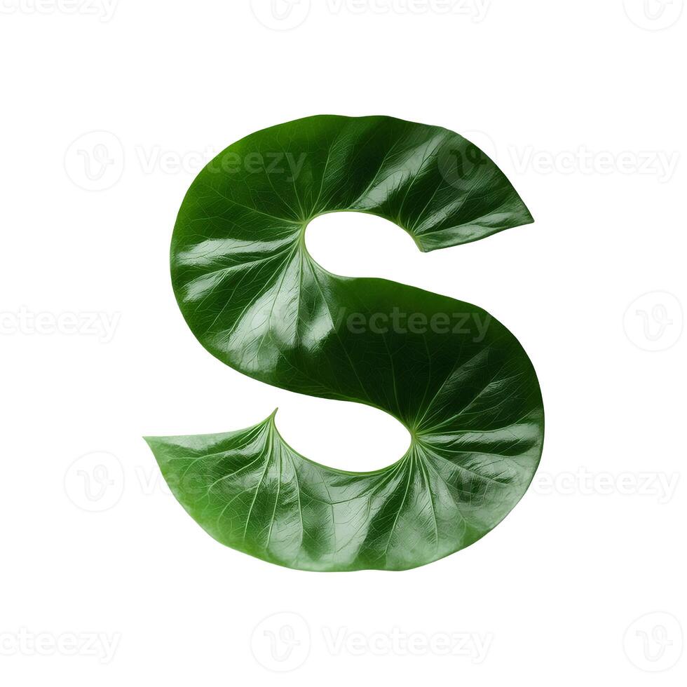 Green leaf typography text design uppercase alphabet S, photo