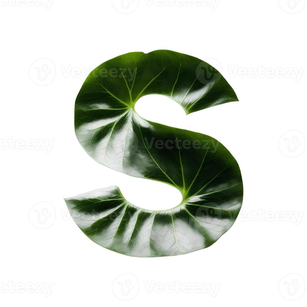 Green leaf typography text design uppercase alphabet S, AI Generative photo