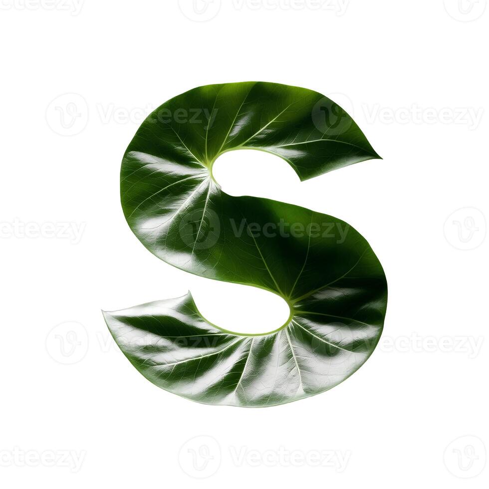 Green leaf typography text design uppercase alphabet S, photo