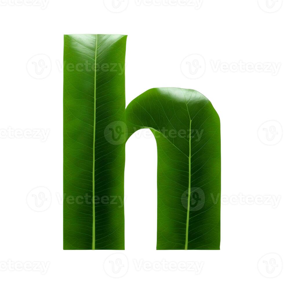 Green leaf typography text design lowercase alphabet h, AI Generative photo