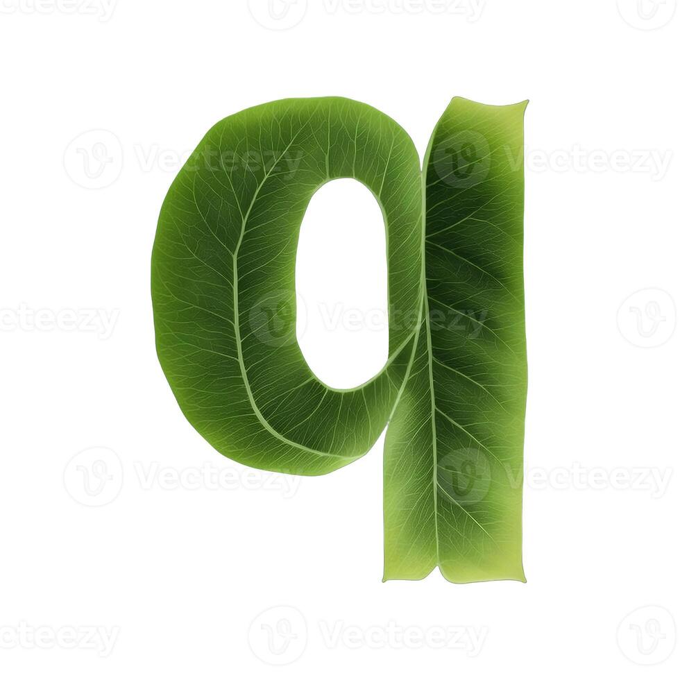 Green leaf typography text design lowercase alphabet q, photo