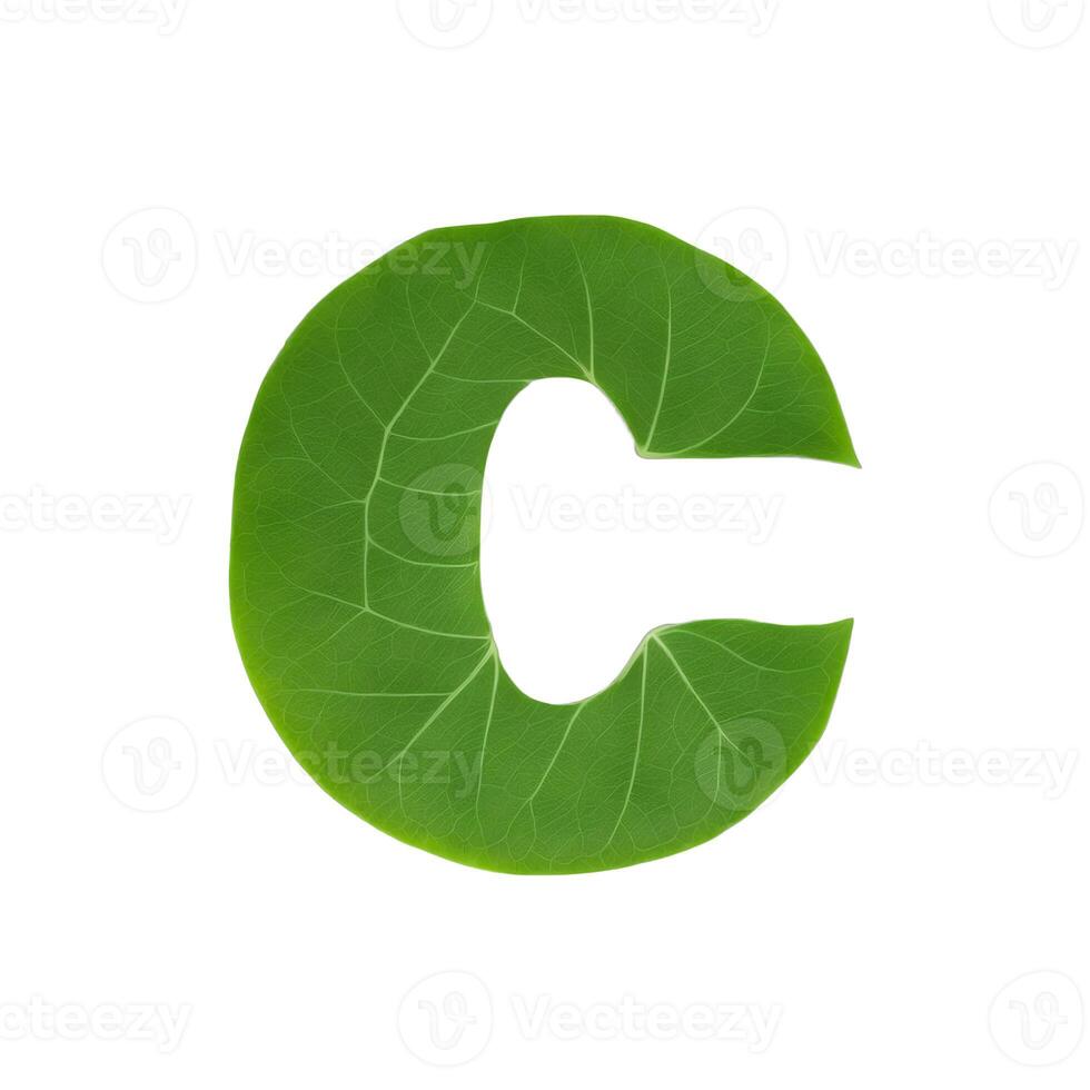 Green leaf typography text design lowercase alphabet c, photo