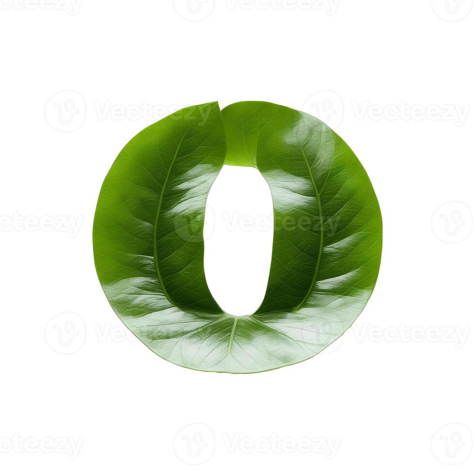 Green leaf typography text design lowercase alphabet o, photo