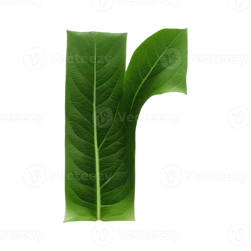 Green leaf typography text design lowercase alphabet r, photo