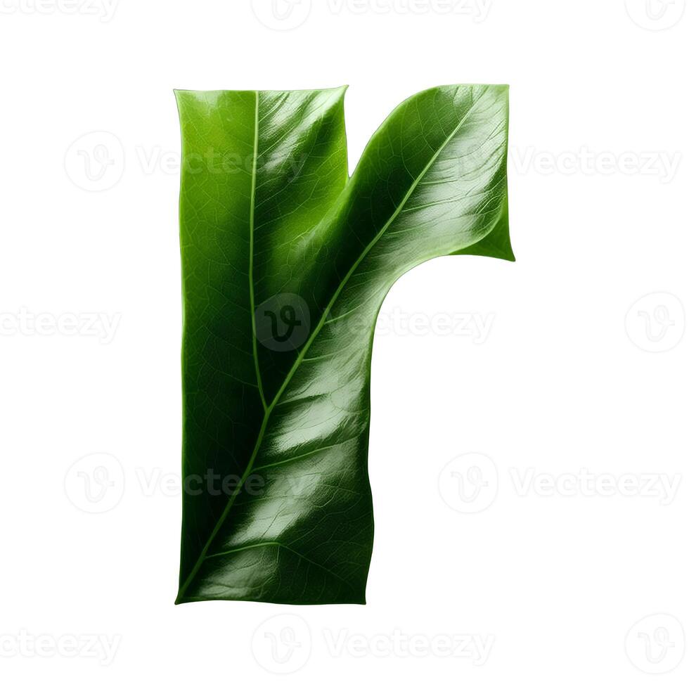 Green leaf typography text design lowercase alphabet r, photo