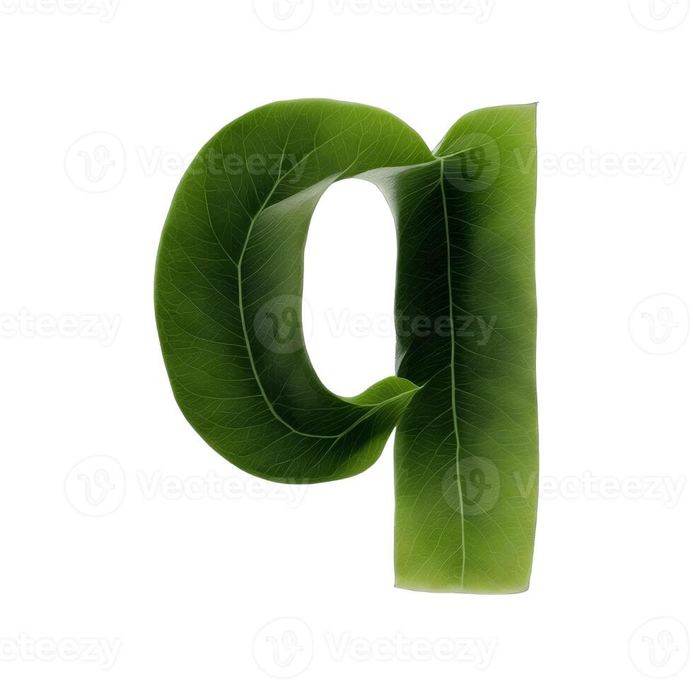 Green leaf typography text design lowercase alphabet q, AI Generative photo