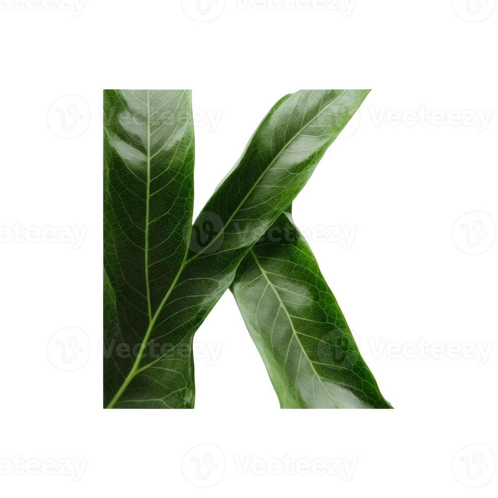 Green leaf typography text design uppercase alphabet K, photo