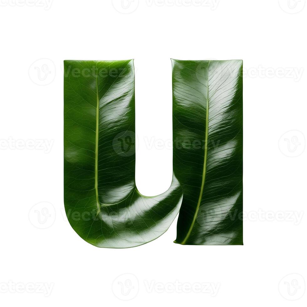 Green leaf typography text design lowercase alphabet u, photo