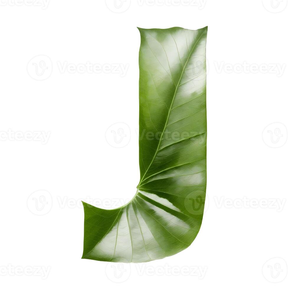 Green leaf typography text design uppercase alphabet J, photo