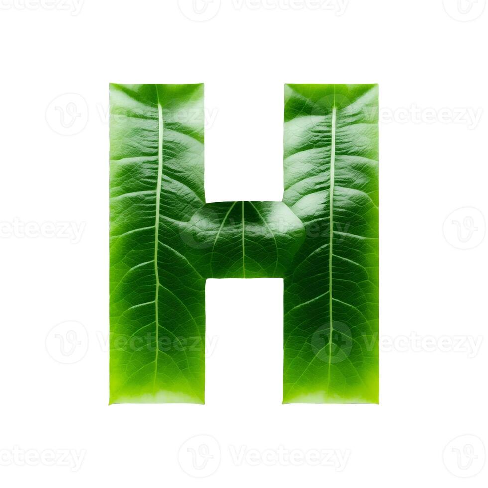 Green leaf typography text design uppercase alphabet H, photo