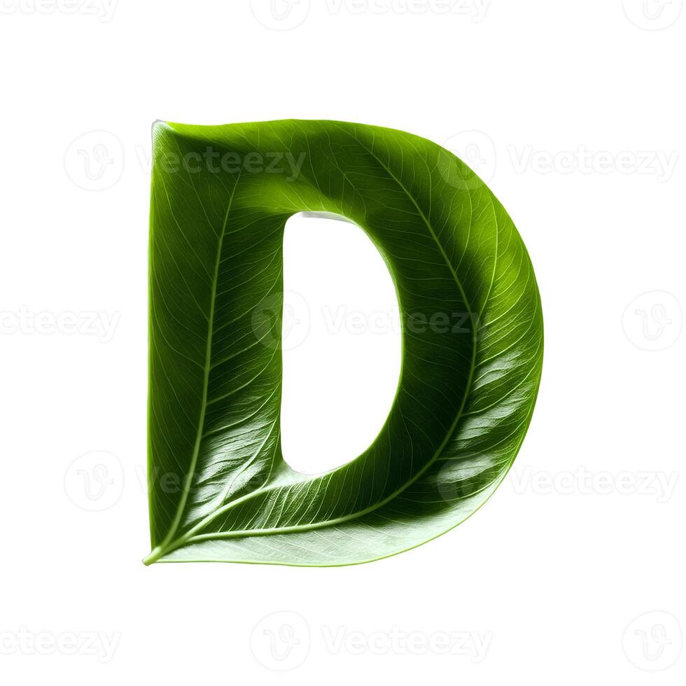 Green leaf typography text design uppercase alphabet D, photo