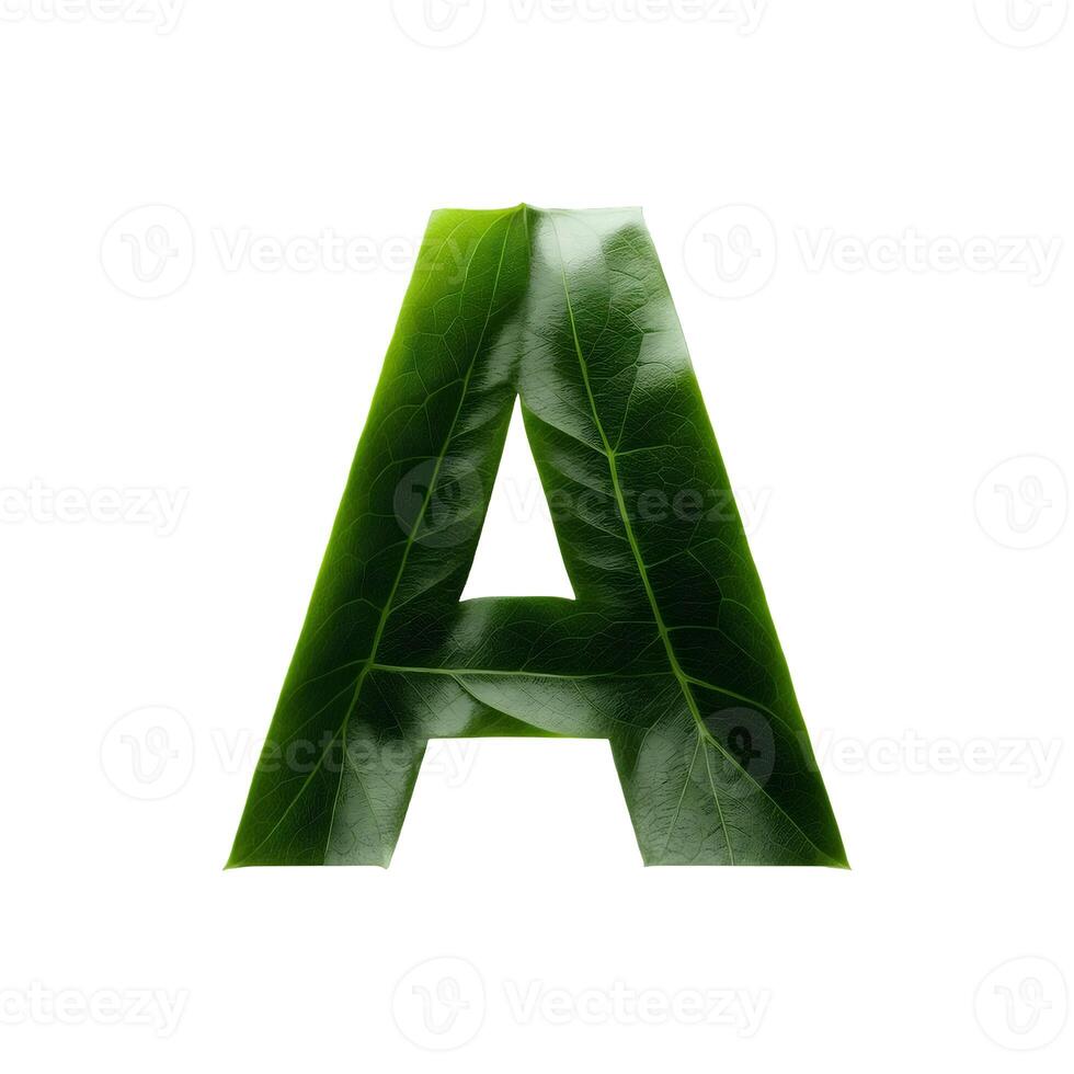 Green leaf typography text design uppercase alphabet A, photo