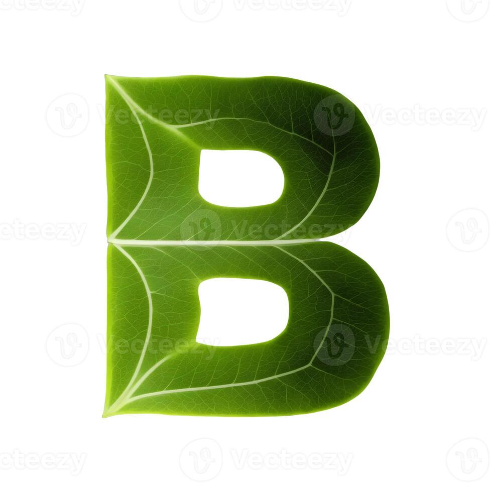 Green leaf typography text design uppercase alphabet B, AI Generative photo