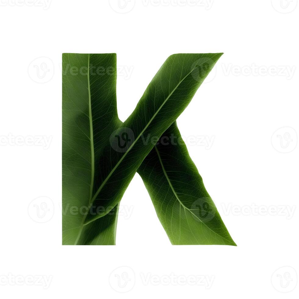 Green leaf typography text design uppercase alphabet K, photo