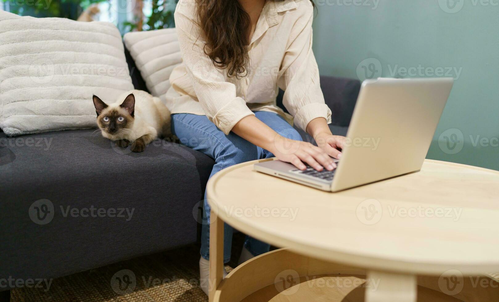 woman working from home with cat. cat asleep on the laptop keyboard. assistant cat working at Laptop photo