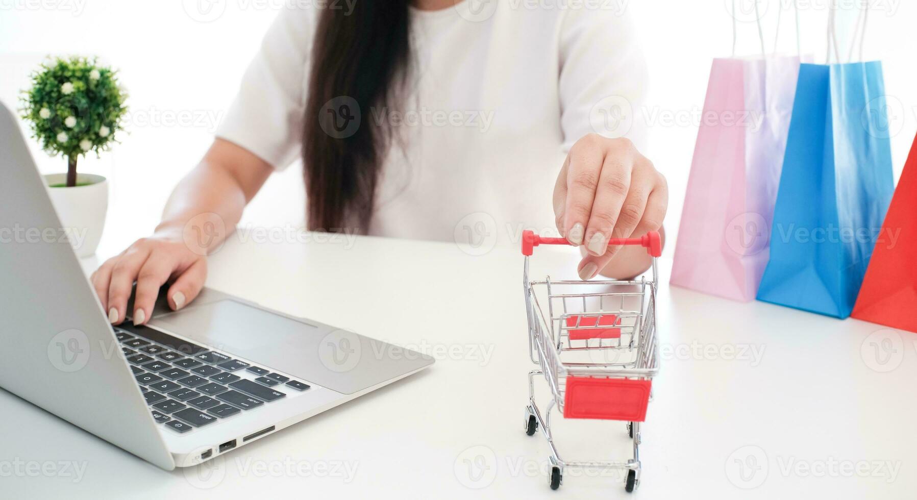 Woman and Small shopping cart with Laptop for Internet online shopping concept. photo