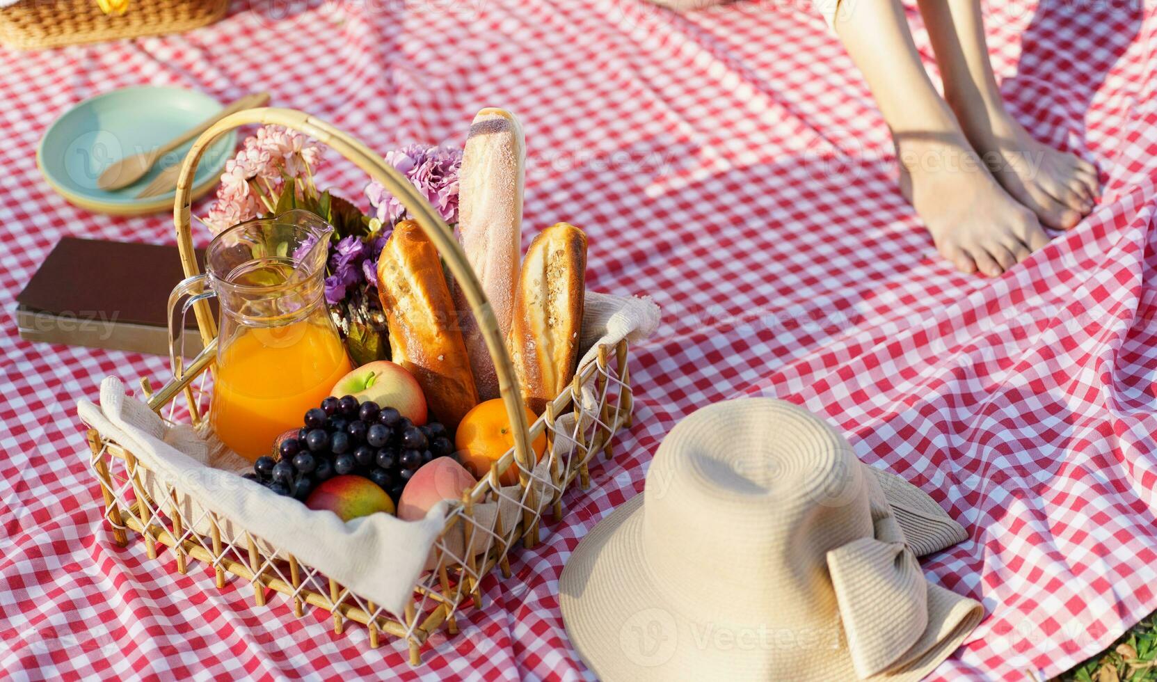 Picnic Lunch Meal Outdoors Park with food picnic basket. enjoying picnic time in park nature outdoor photo