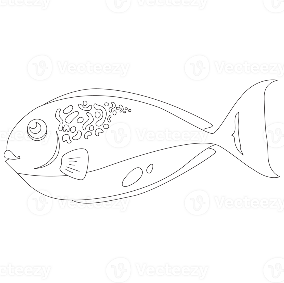 Bluehead Fish 2D Outline Illustrations png