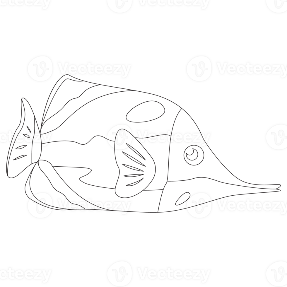 Longnose Fish 2D Outline Illustrations png