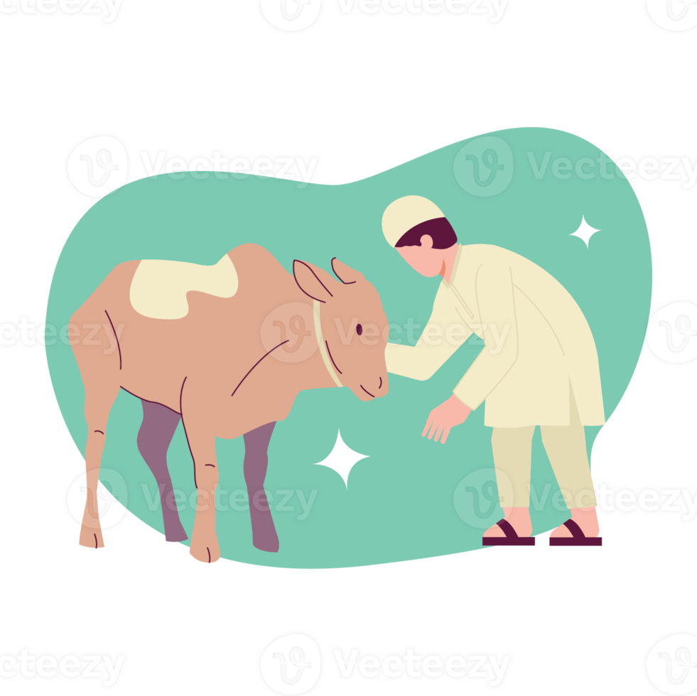 Sacrificial Cow Eid Adha Color 2D Illustrations png