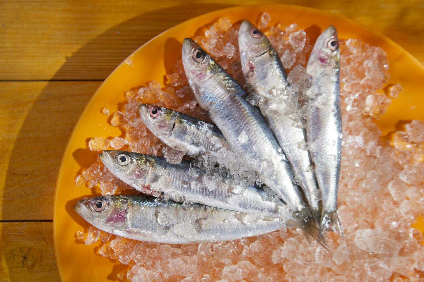 un plato de sardinas en hielo foto