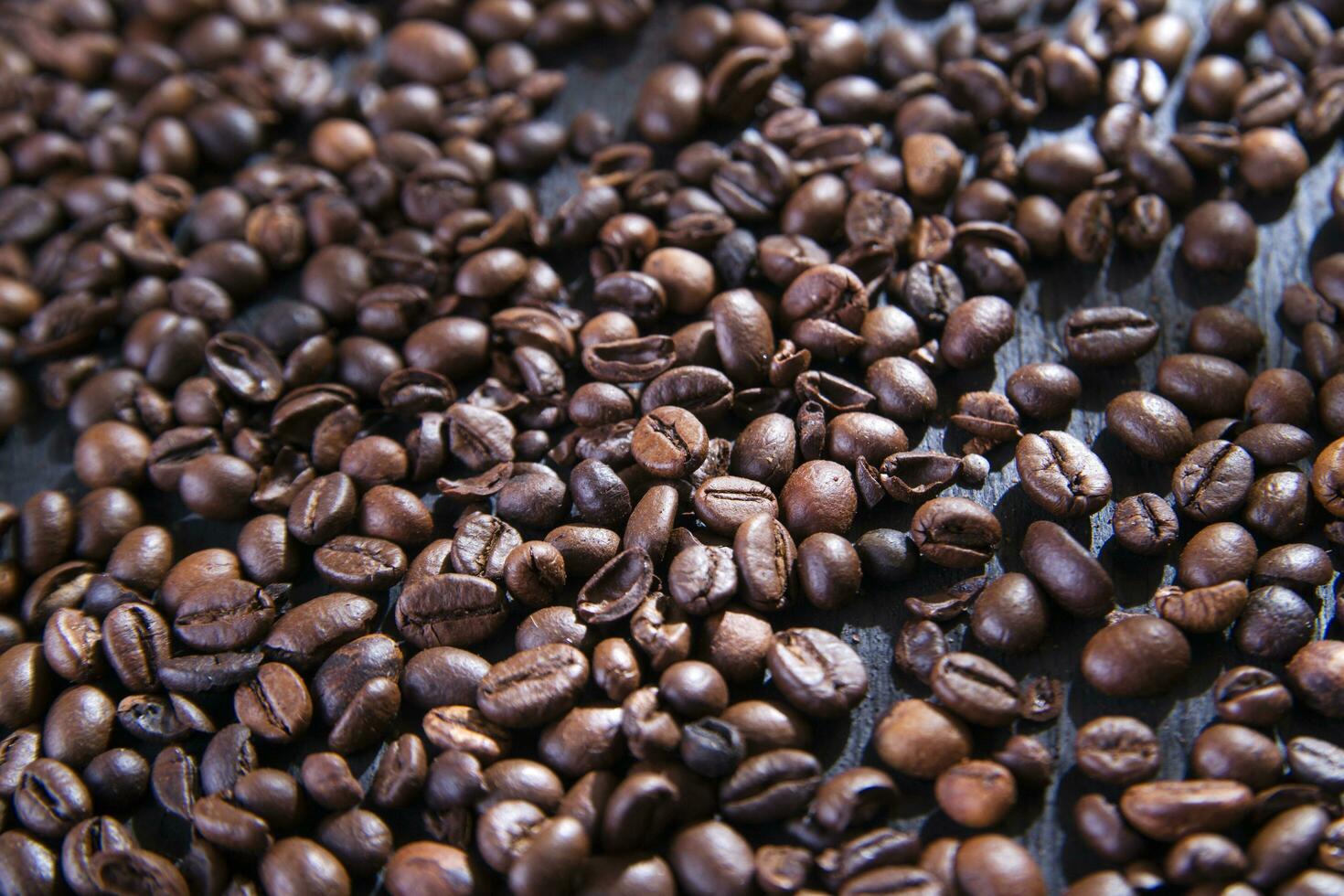 coffee beans on a dark background photo