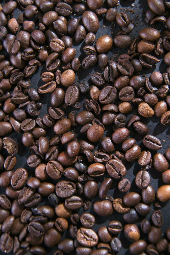 coffee beans on a dark background photo