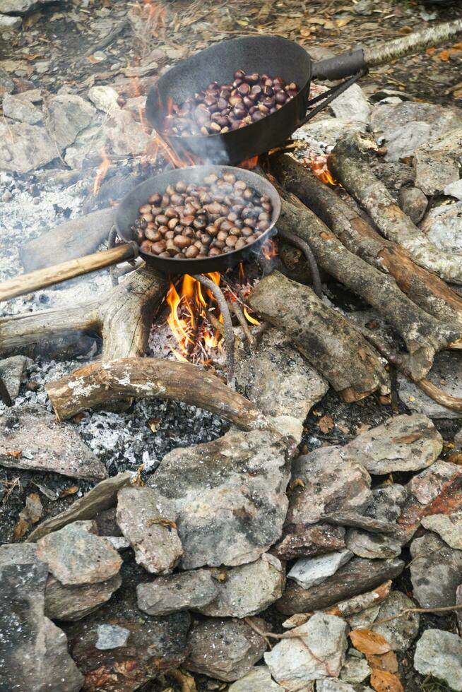 a pan of food cooking on a fire photo