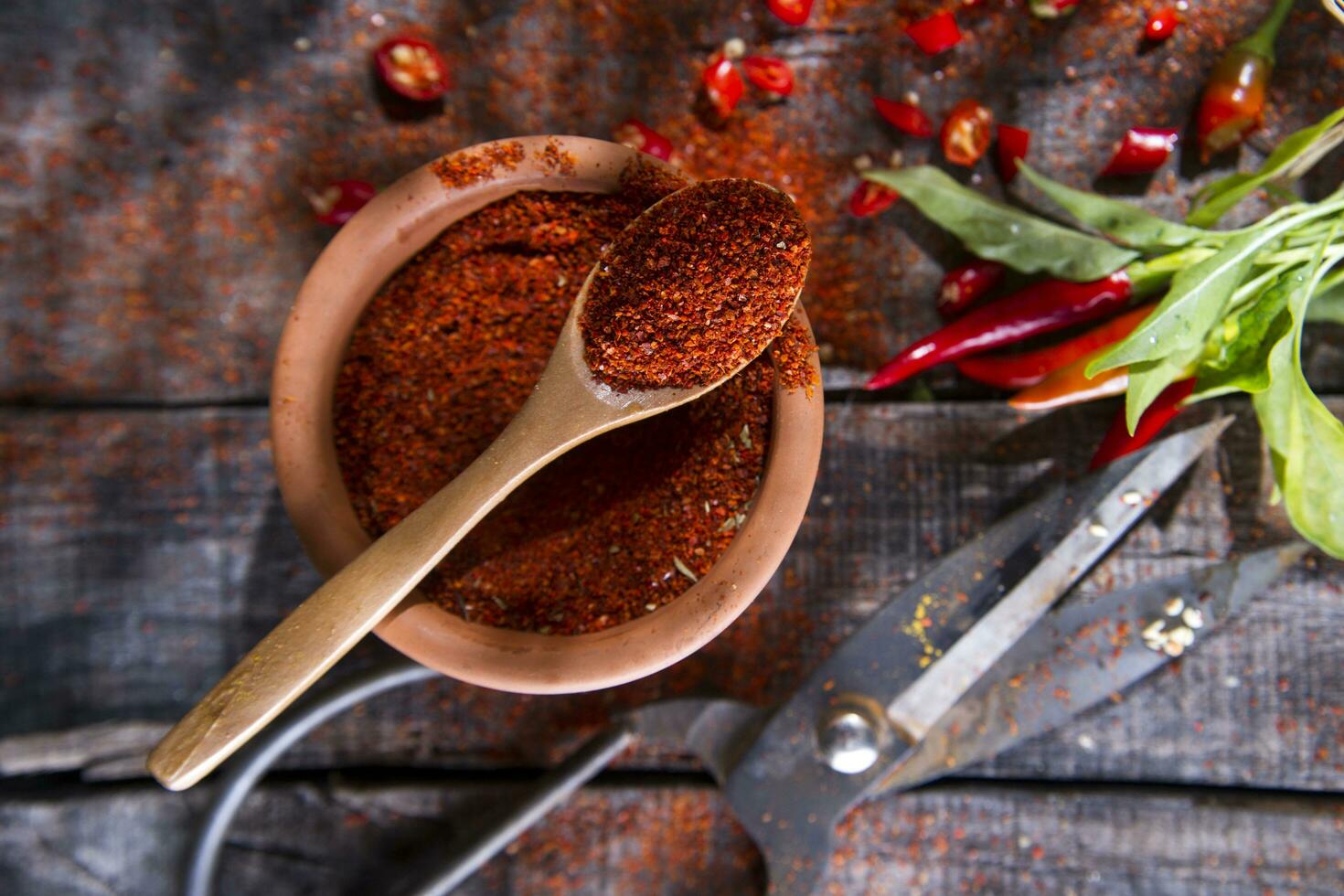 a bowl of chili powder and a wooden spoon photo