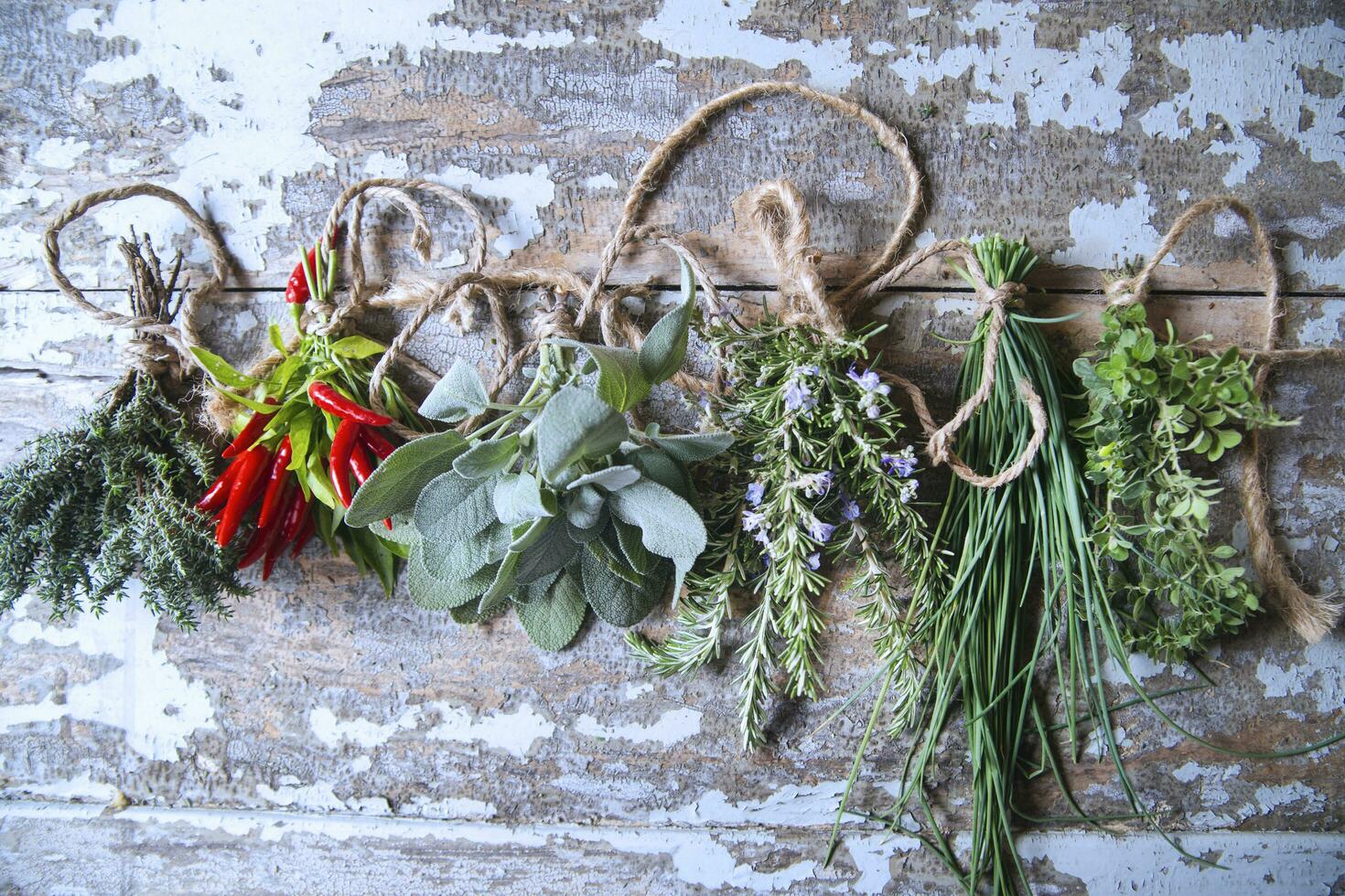 a bunch of herbs hanging on a wall photo