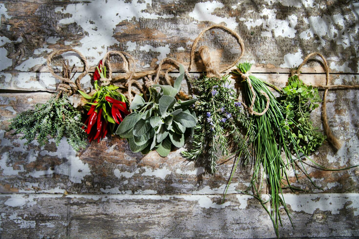 a bunch of herbs hanging on a wall photo