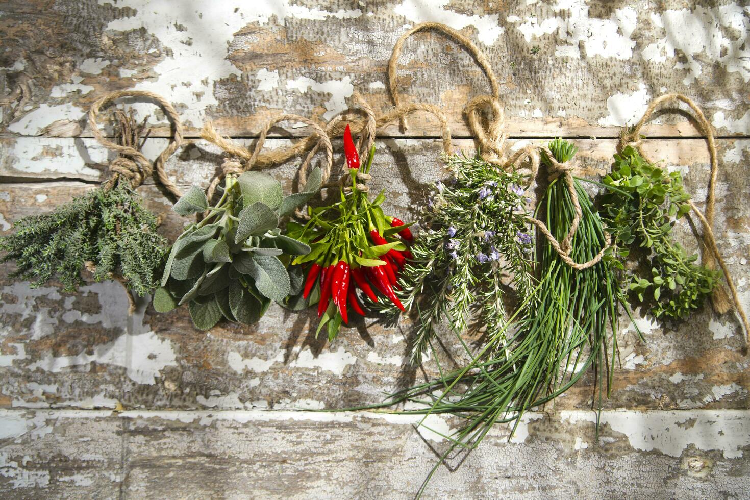 a bunch of herbs hanging on a wall photo