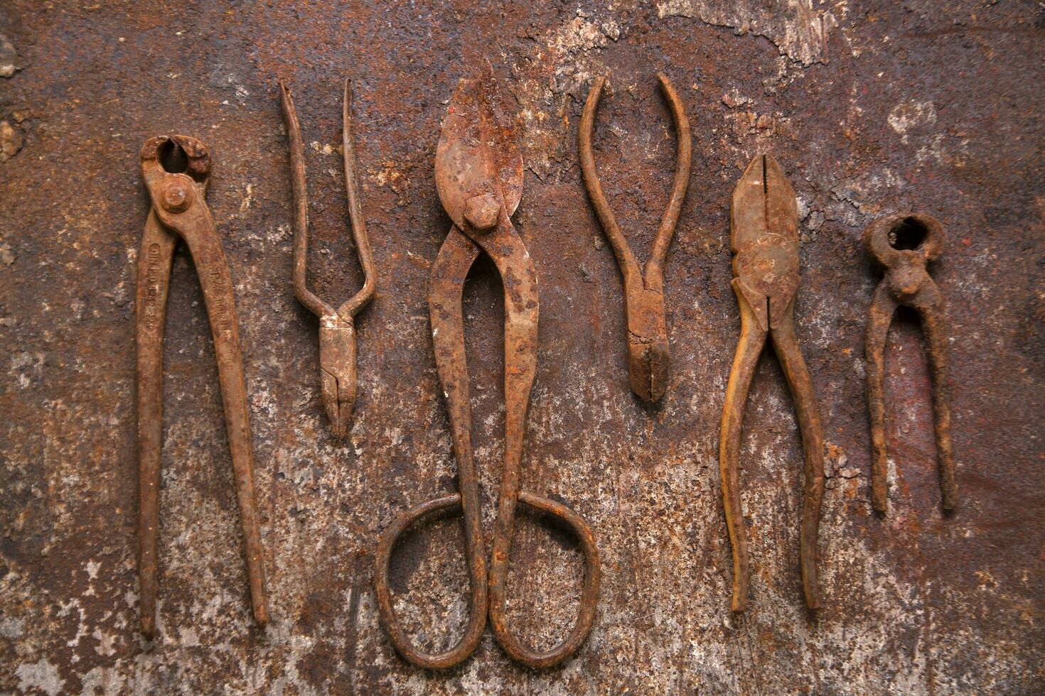 a group of rusty old tools sitting on a wall photo