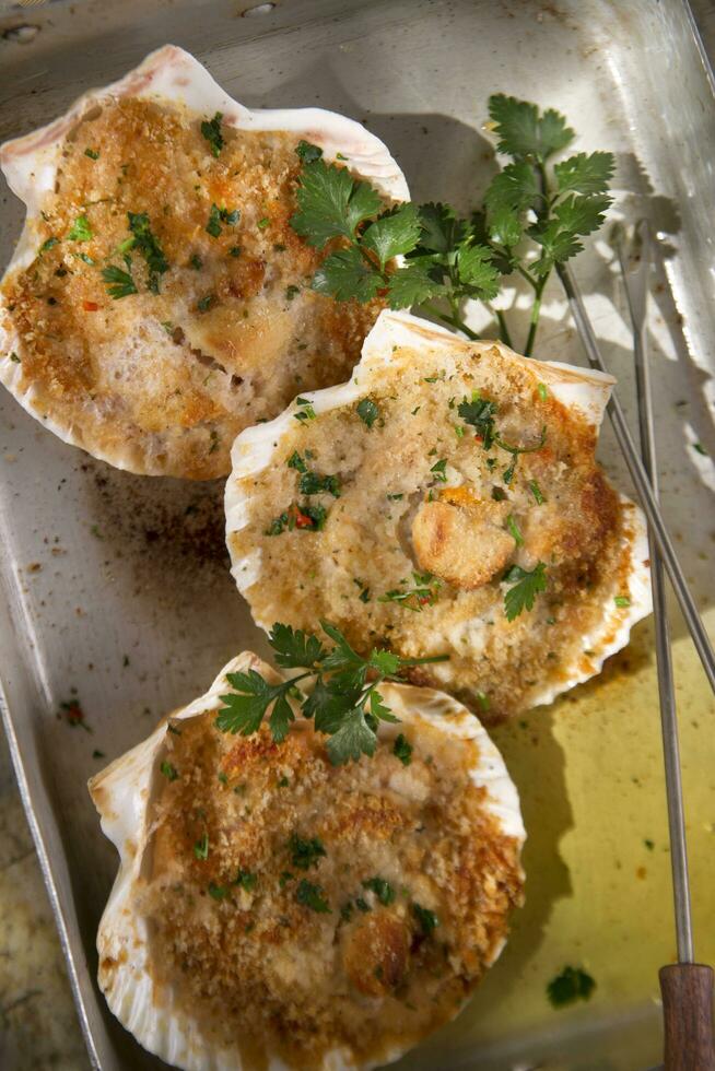 Scallops au gratin photo