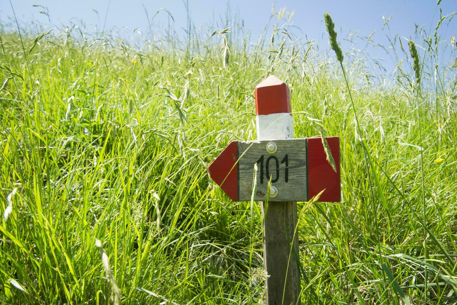 a sign on a rock photo