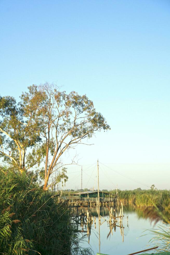 Construction for fishing photo
