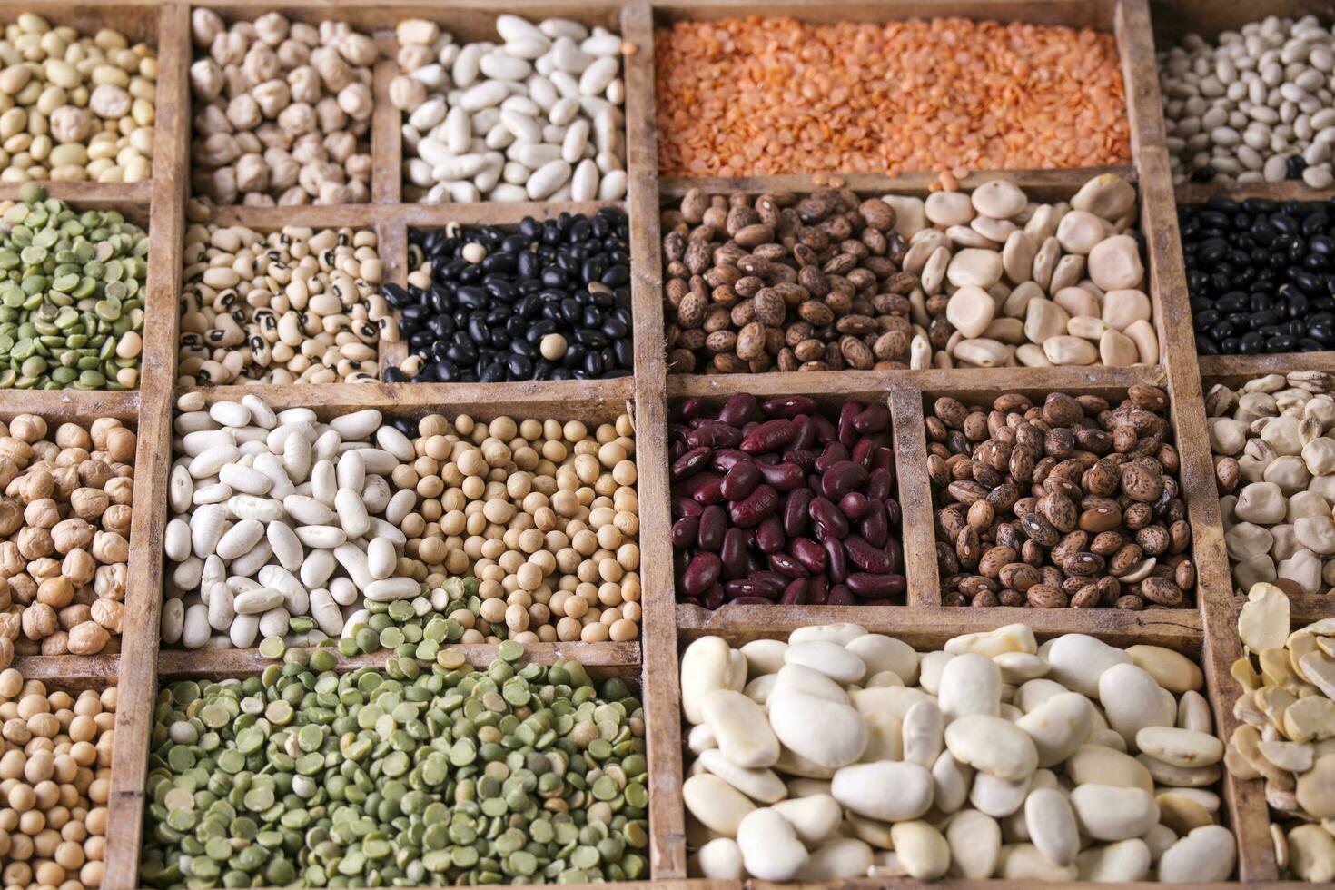Seeds of legumes mixed photo