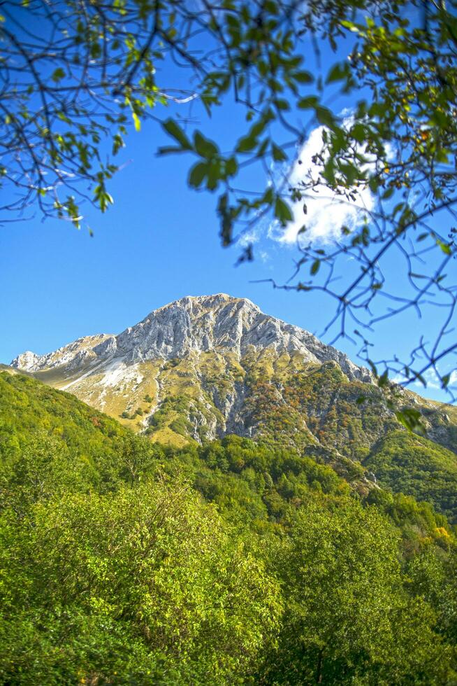 Monte Pania of the Cross photo