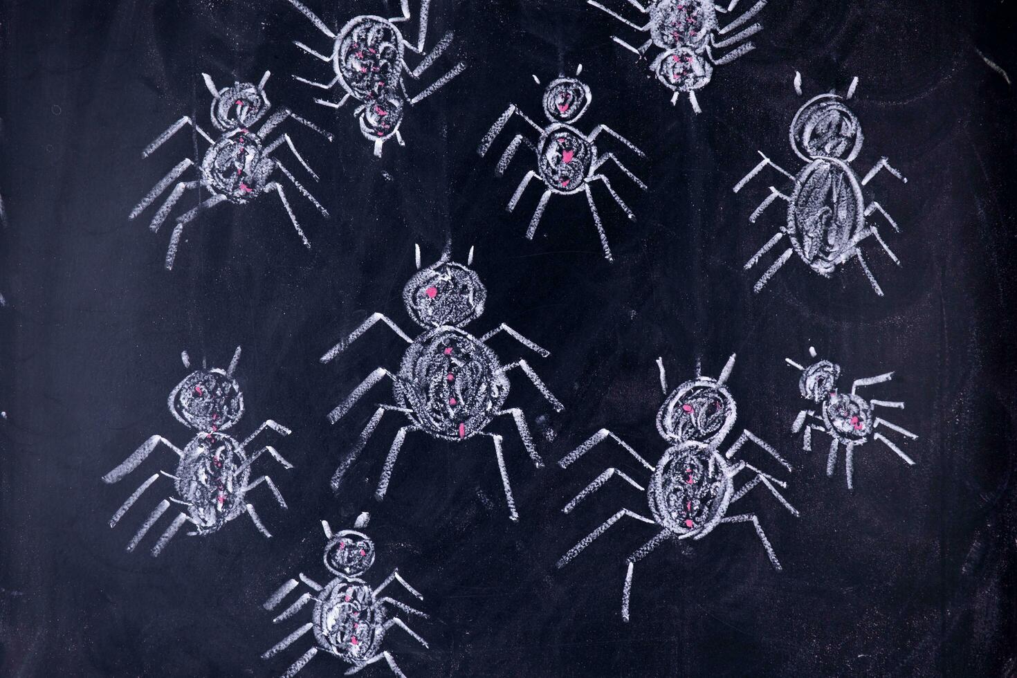 Arachnophobia Fear of Spiders photo