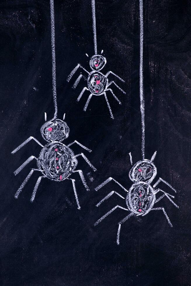Arachnophobia Fear of Spiders photo