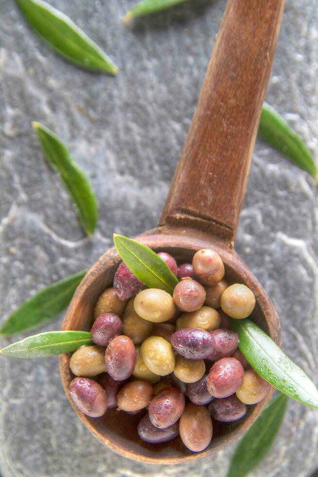 Mixed olives in brine photo